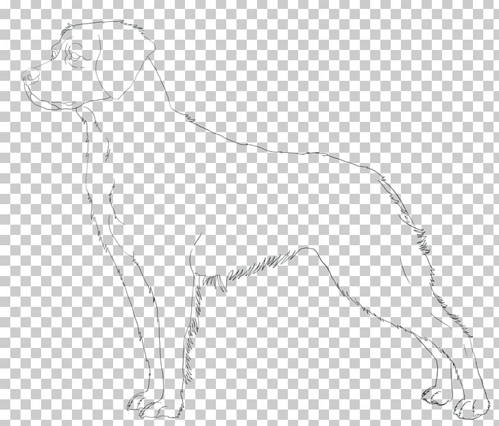 Dog Breed Retriever Companion Dog Brittany Dog Sporting Group PNG, Clipart, Animals, Artwork, Black And White, Breed, Brittany Dog Free PNG Download