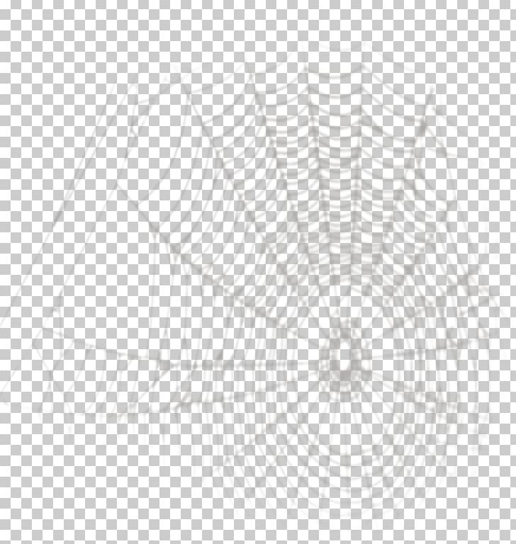 Spider Web Drawing PNG, Clipart, Angle, Balloon Cartoon, Black And White, Cartoon Character, Cartoon Couple Free PNG Download