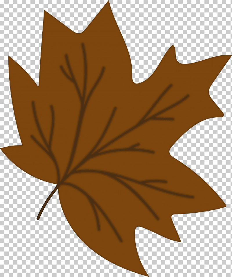Maple Leaf PNG, Clipart, Biology, Flower, Leaf, Maple, Maple Leaf Free PNG Download