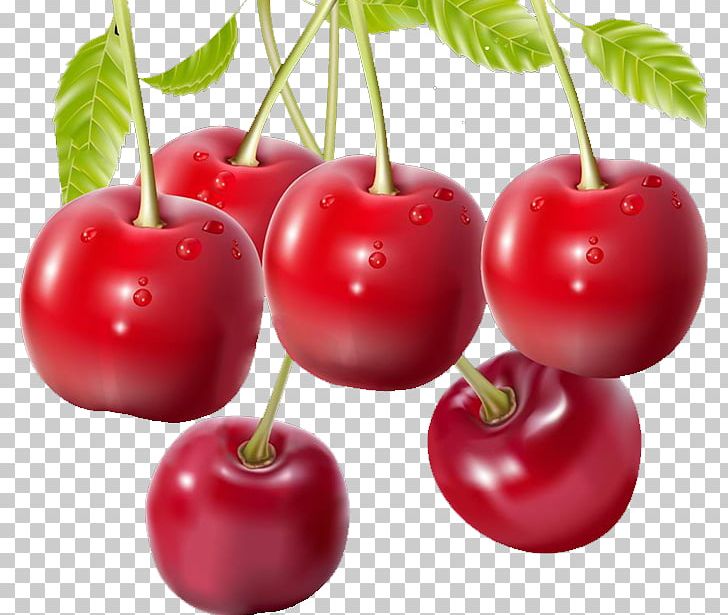 Barbados Cherry Malpighia Glabra Auglis PNG, Clipart, Acerola Family, Apple, Auglis, Beautiful, Bell Pepper Free PNG Download