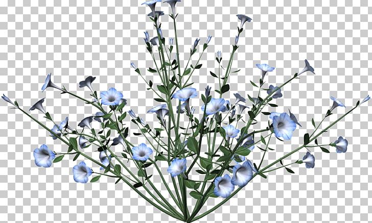 Flower Desktop PNG, Clipart, Blue, Branch, Cat, Chicory, Cut Flowers Free PNG Download