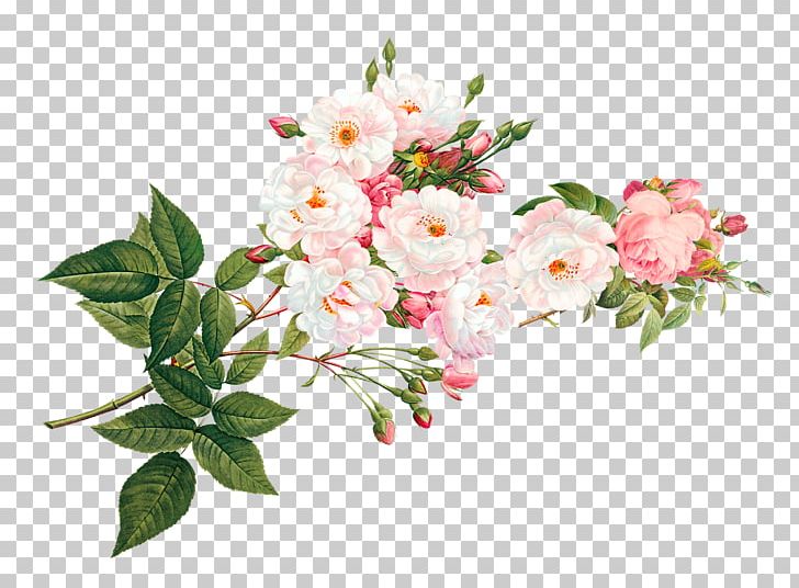 Vecteur PNG, Clipart, Artificial Flower, Blossom, Branch, Download, Encapsulated Postscript Free PNG Download