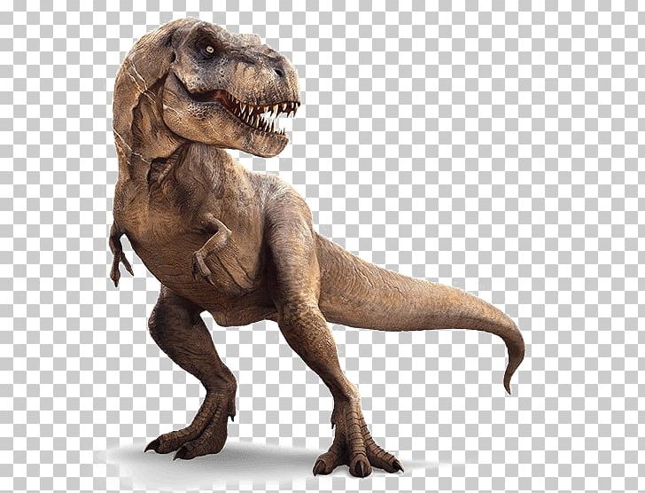 Velociraptor Carnotaurus Spinosaurus Triceratops Jurassic Park PNG, Clipart, Background, Barnum Brown, Carnotaurus, Dinosaur, Extinction Free PNG Download