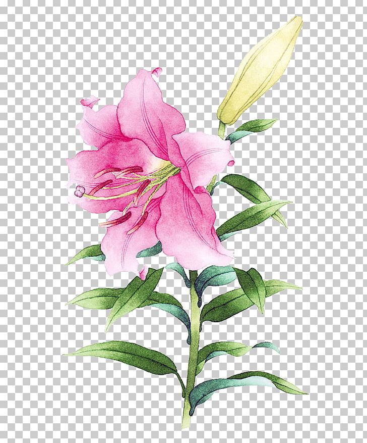 Watercolor Painting Drawing Illustration PNG, Clipart, Color, Cut Flowers, Flower, Flowers, Graffiti Free PNG Download