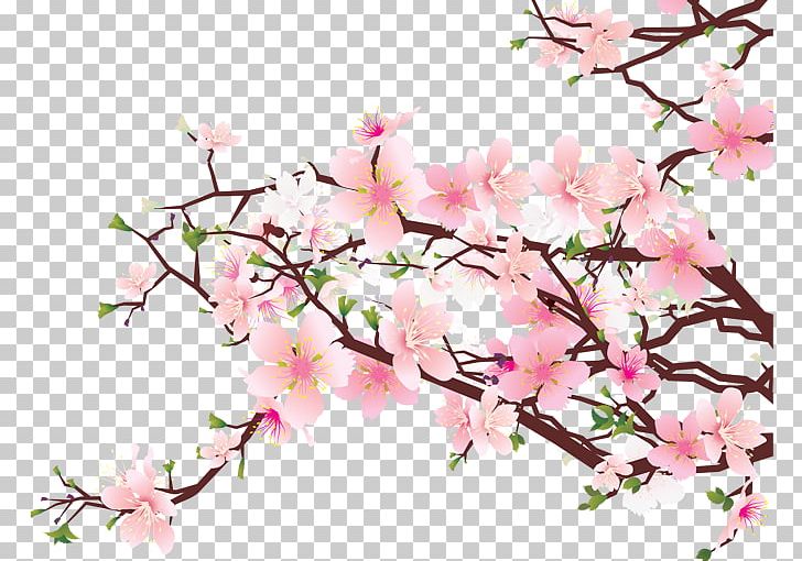 Cherry Blossom PNG, Clipart, Apricot, Artificial Flower, Blossom, Branch, Cherry Free PNG Download