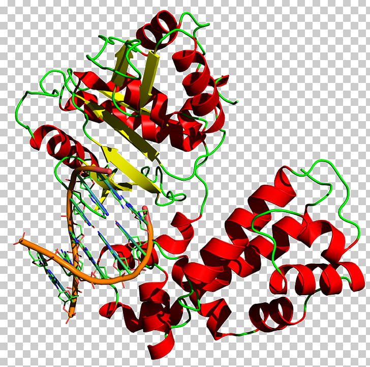 DNA Polymerase DNA Replication Taq Polymerase PNG, Clipart, Area, Artwork, Base Pair, Dna, Dna Mismatch Repair Free PNG Download