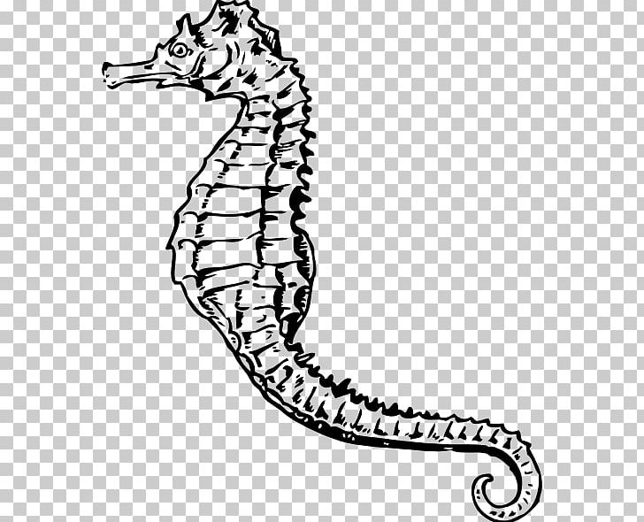 Seahorse PNG, Clipart, Area, Art, Black And White, Cartoon, Drawing Free PNG Download