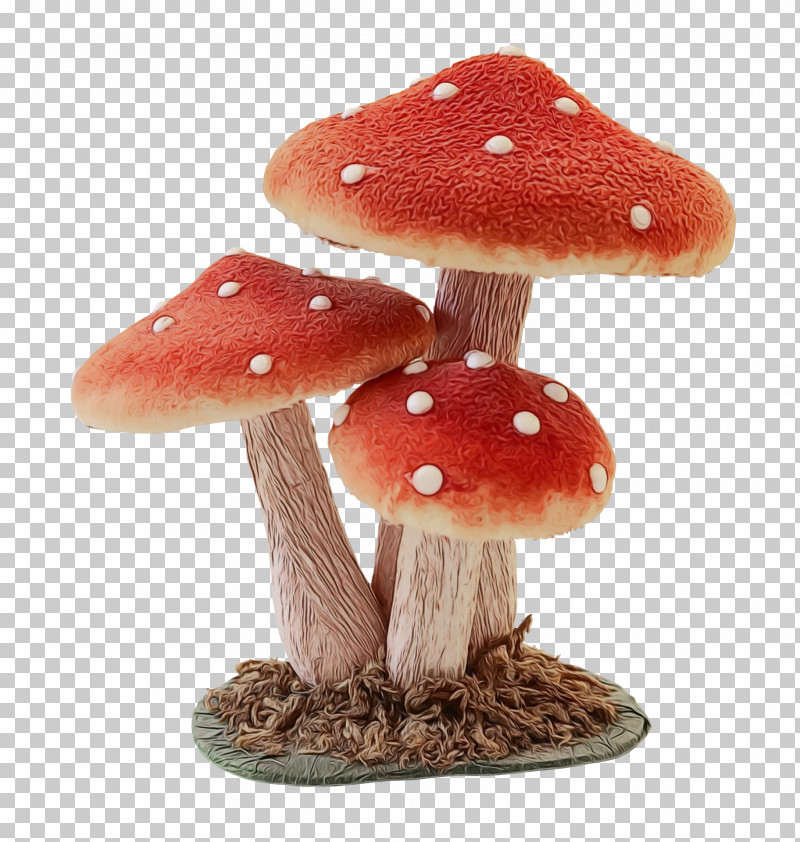 Mushroom PNG, Clipart, Mushroom, Paint, Watercolor, Wet Ink Free PNG Download