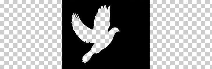 Columbidae Doves As Symbols PNG, Clipart, Beak, Bird, Black And White, Black Dove Cliparts, Columbidae Free PNG Download
