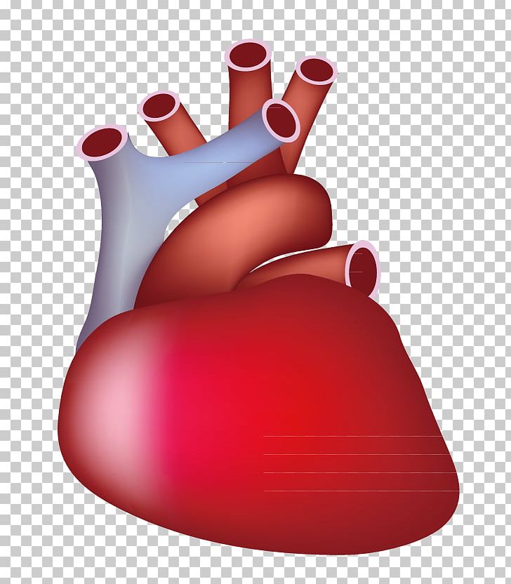 Finger Red PNG, Clipart, Cardiac Arrest, Cardiology, Cardio Vascular, Cardiovascular Disease, Decorative Patterns Free PNG Download