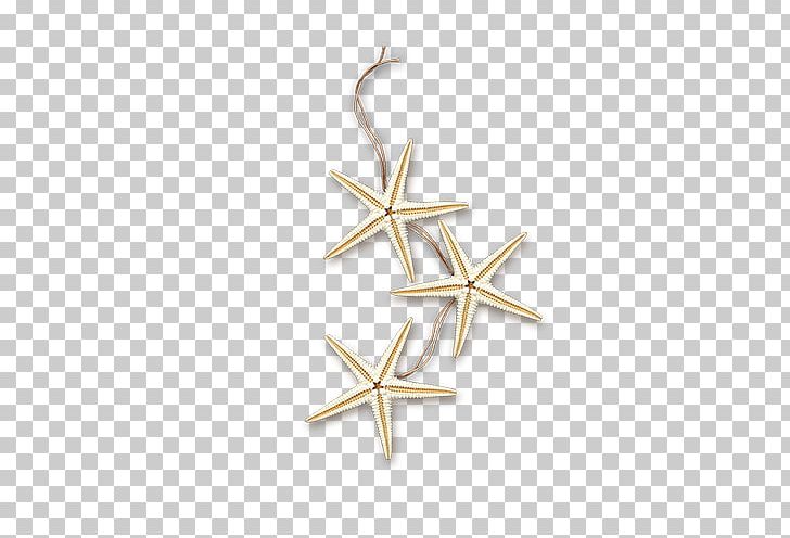 Gostinyy Dom Sea Starfish Icon PNG, Clipart, Animals, Beautiful Starfish, Body Jewelry, Cartoon Starfish, Creative Free PNG Download