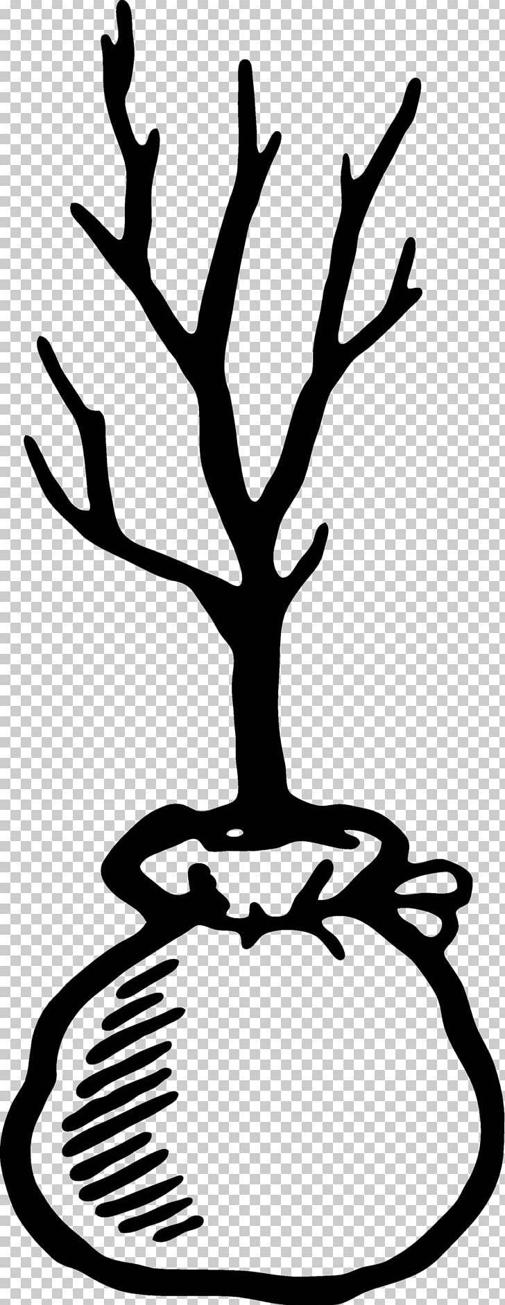 Black And White PNG, Clipart, Allow, Animals, Antler, Art, Artwork Free PNG Download