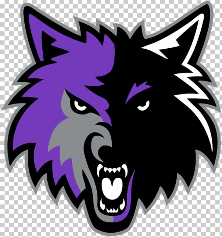 Minnesota Timberwolves Balboa High School Denver Nuggets Cedar Ridge School District NBA PNG, Clipart, Basketball, Carnivoran, Cat, Cat Like Mammal, Denver Nuggets Free PNG Download