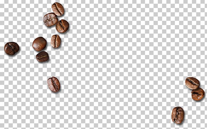 Coffee Bean PNG, Clipart, Arabica Coffee, Bean, Beans, Bitter, Brown Free PNG Download