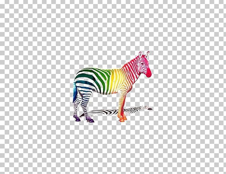 School Of Visual Arts Zebra PNG, Clipart, Advertising, African, African Animals, Animals, Art Free PNG Download