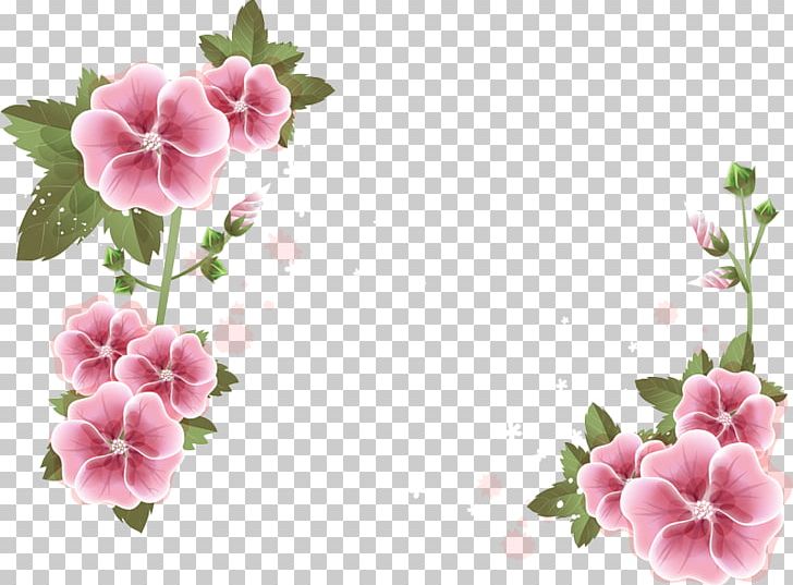Frames Desktop Flower PNG, Clipart, Annual Plant, Blossom, Color, Computer Icons, Cut Flowers Free PNG Download