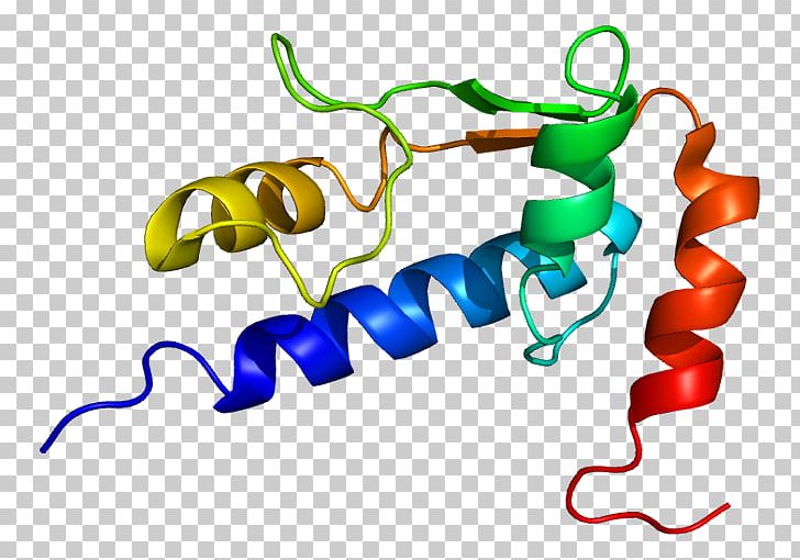 GTF2I General Transcription Factor PNG, Clipart,  Free PNG Download