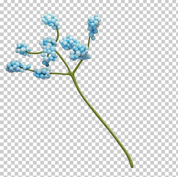 Blue Flower Mavi PNG, Clipart, Blue, Branch, Cicekler, Cicek Resimler, Cuttlefish Free PNG Download