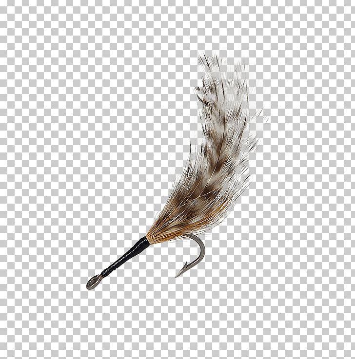 Cockroach Fly Holly Flies Feather Tarpons PNG, Clipart, Cockroach, Discounts And Allowances, Email, Feather, Fly Free PNG Download