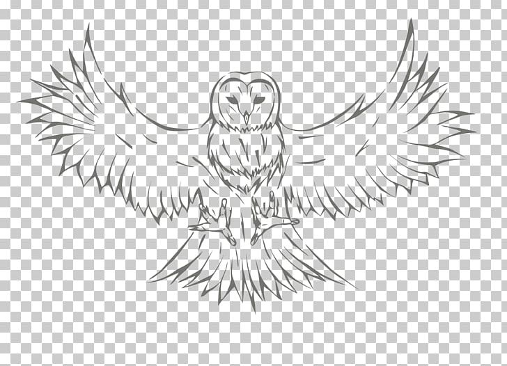 Owl Sketch Drawing Graphics PNG, Clipart, Animals, Artwork, Beak, Bird, Bird Of Prey Free PNG Download