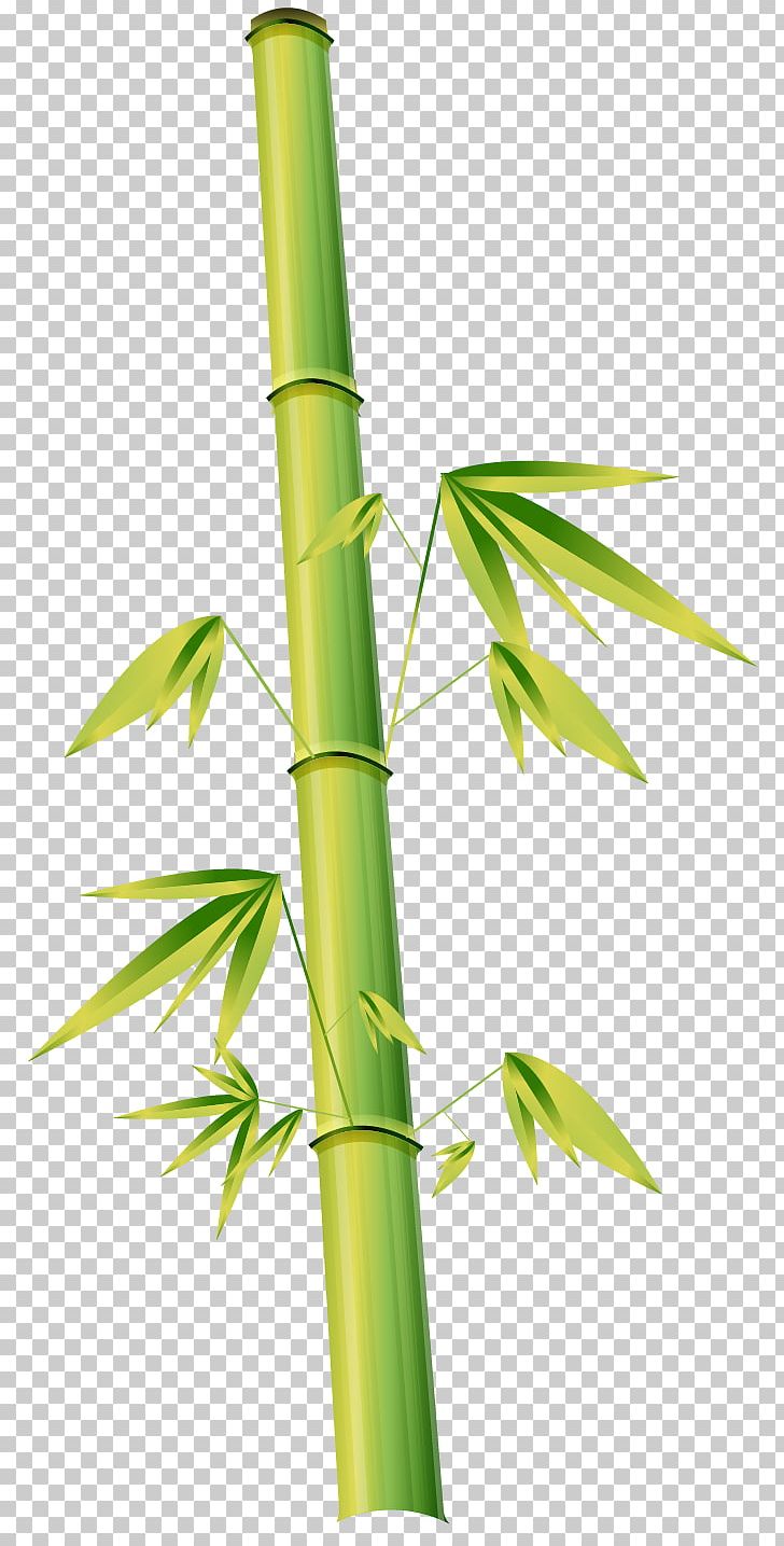 Bamboo Euclidean Cartoon Illustration PNG, Clipart, Angle, Bamboo Vector, Cartoon, Drawing, Encapsulated Postscript Free PNG Download