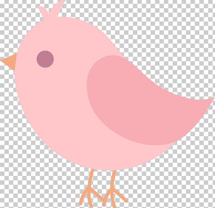 Bird Drawing PNG, Clipart, Animals, Beak, Bird, Bird Nest, Chicken Free PNG Download