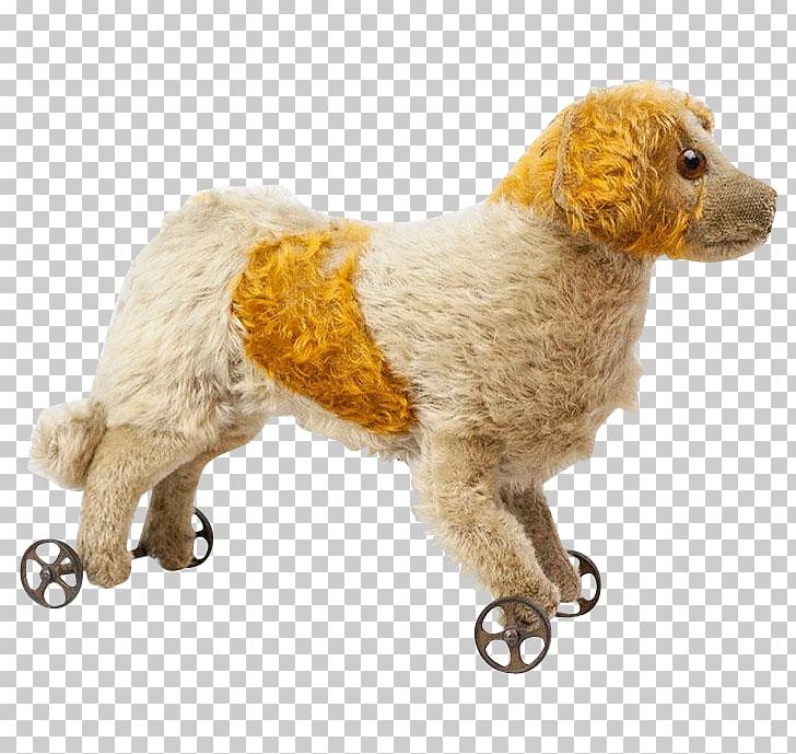 Standard Poodle Miniature Poodle Dog Breed Companion Dog PNG, Clipart, Breed, Carnivoran, Companion Dog, Crossbreed, Dog Free PNG Download
