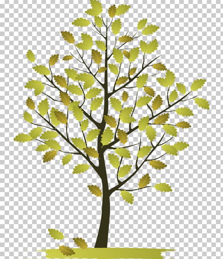 Tree PNG, Clipart, Blog, Bonsai, Branch, Branch Clip Art, Clip Art Free PNG Download
