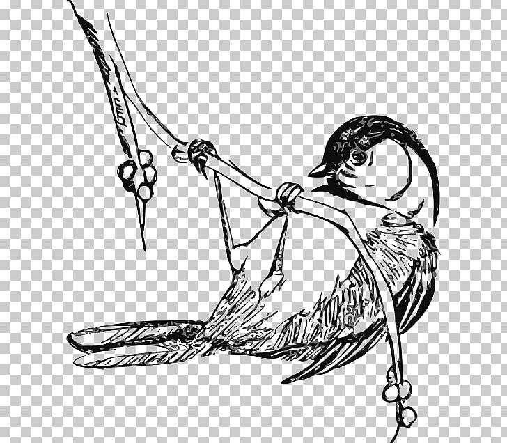 Black-capped Chickadee Drawing PNG, Clipart, Arm, Art, Artwork, Beak, Bird Free PNG Download