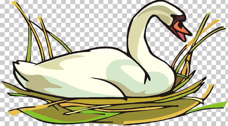 Goose Mute Swan Duck Open PNG, Clipart, Artwork, Beak, Bird, Black Swan, Cygnini Free PNG Download