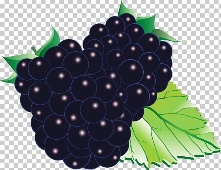 Grape Black Mulberry Blackberry Red Raspberry Fruit PNG, Clipart, Auglis, Berry, Cartoon, Creative, Food Free PNG Download