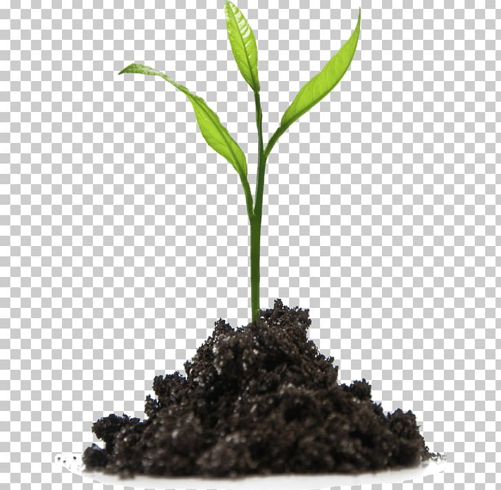 Learning Plants School Education Knowledge PNG, Clipart, Business, Company, Education, Knowledge, Learning Free PNG Download