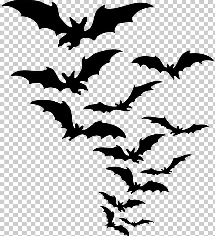 Bat Desktop PNG, Clipart, Animals, Artwork, Bat, Beak, Black And White Free PNG Download