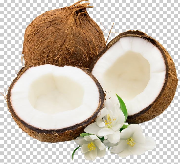 Coconut Water Coconut Milk PNG, Clipart, Clip Art, Coconut, Coconut Cream, Coconut Milk, Coconut Oil Free PNG Download