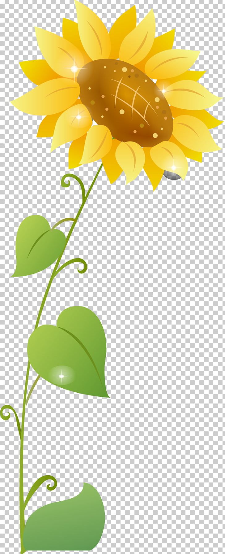Common Sunflower Cartoon PNG, Clipart, Art, Balloon Cartoon, Cartoon, Cartoon Arms, Cartoon Character Free PNG Download