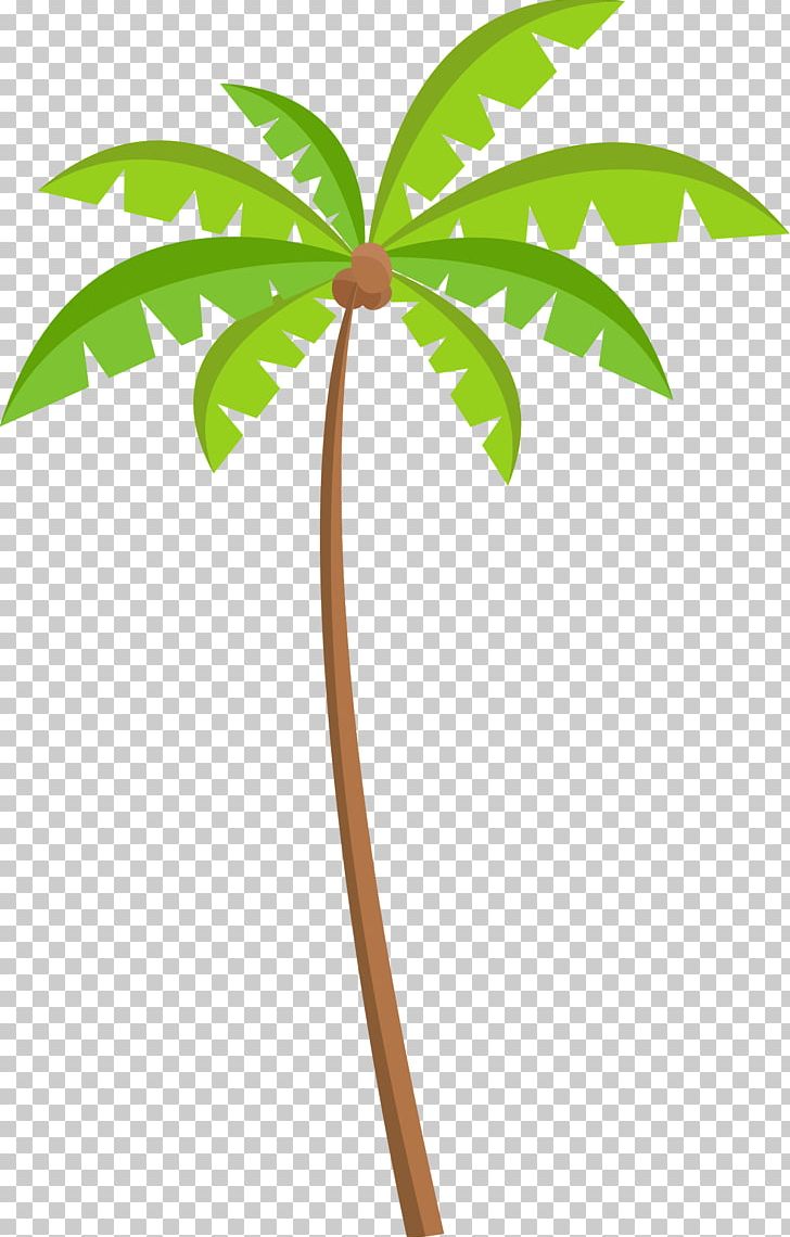 Green Coconut Tree Material PNG, Clipart, Beach, Branch, Cartoon, Christmas Tree, Coconut Free PNG Download