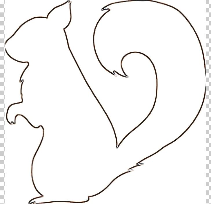 squirrel drawing outline