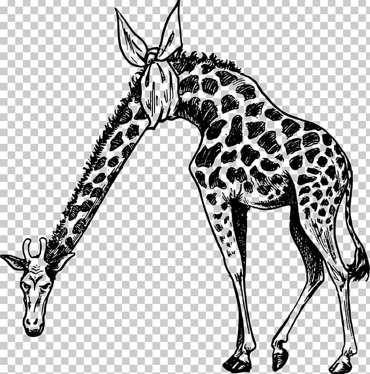 Giraffe Drawing PNG, Clipart, Animal, Animals, Black And White, Computer Icons, Digital Scrapbooking Free PNG Download