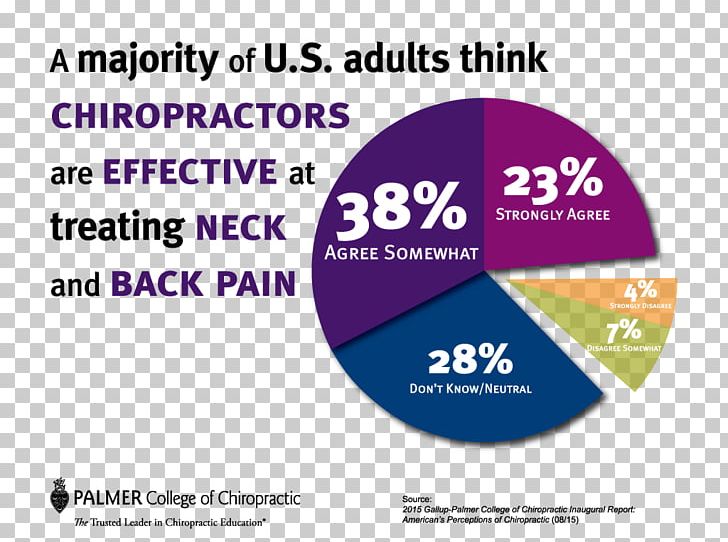 Palmer College Of Chiropractic Low Back Pain Chiropractor PNG, Clipart, American Chiropractic Association, Area, Back Pain, Brand, Chiropractic Free PNG Download