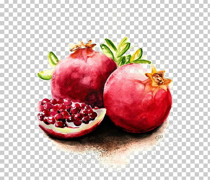 Pomegranate Juice Pomegranate Juice Fruit Watercolor Painting PNG, Clipart, Cranberry, Creativ, Food, Fruit Nut, Frutti Di Bosco Free PNG Download