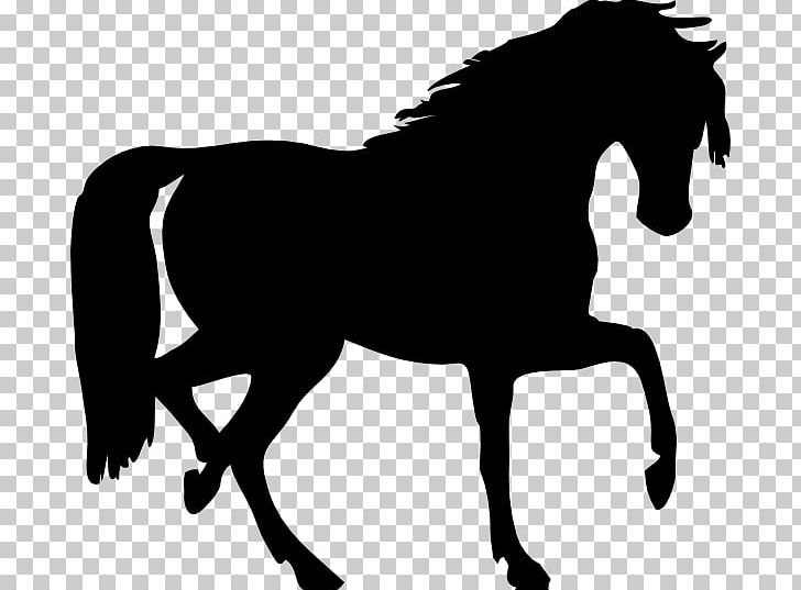 Arabian Horse Silhouette PNG, Clipart, Black And White, Bridle, Colt, Download, Draft Horse Free PNG Download