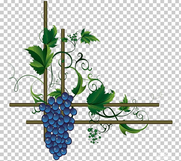 Wine Merlot Grape Leaves PNG, Clipart, Branch, Common Grape Vine, Flora, Floral Design, Flower Free PNG Download
