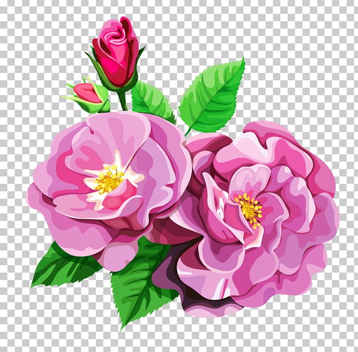 Centifolia Roses Garden Roses Flower Bouquet PNG, Clipart, Annual Plant, Art, Artificial Flower, Camellia, Centifolia Roses Free PNG Download