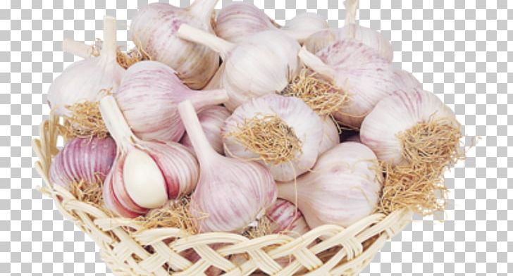 Garlic Shallot Alcohol Tincture Ancient Egypt PNG, Clipart, Alcohol, Aloe, Ancestor, Ancient Egypt, Food Free PNG Download