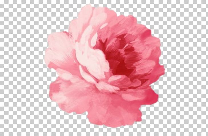 Pink Flowers Rose PNG, Clipart, Artificial Flower, Azalea, Carnation, Color, Cut Flowers Free PNG Download
