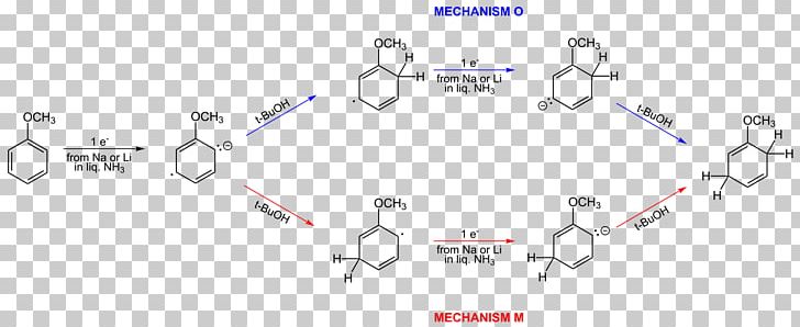 Birch's On The Lake Brewhouse & Supperclub Birch Reduction Radical Benkeser Reaction Substituent PNG, Clipart,  Free PNG Download