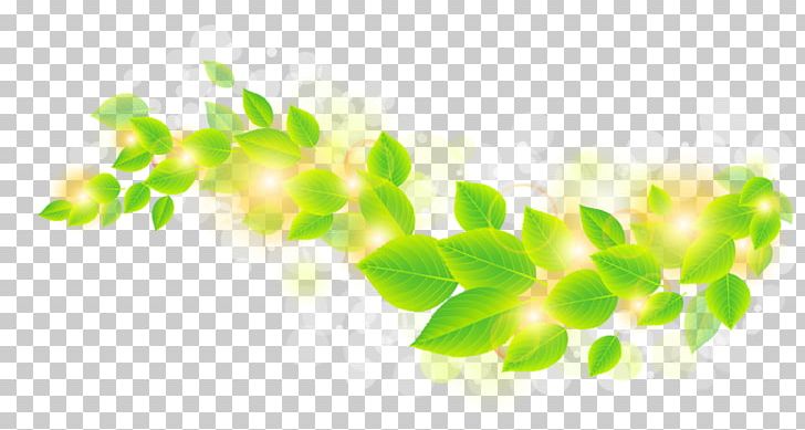 Leaf Green PNG, Clipart, Background, Background Green, Branch, Clip Art, Color Free PNG Download