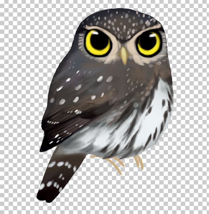 Owl Beak Feather Animal PNG, Clipart, Animal, Animals, Beak, Bird, Bird Of Prey Free PNG Download