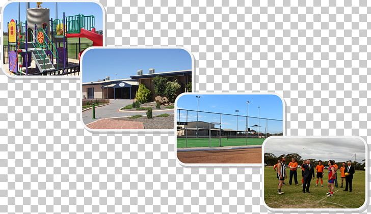 Shire Of Bruce Rock Sport The Oval Recreation Indoor Football PNG, Clipart, Artificial Turf, Badminton, Bowls, Center, Cricket Free PNG Download