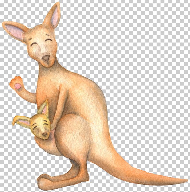 Koala Kangaroo Cartoon PNG, Clipart, Animal, Animals, Carnivoran, Cat Like Mammal, Cuteness Free PNG Download